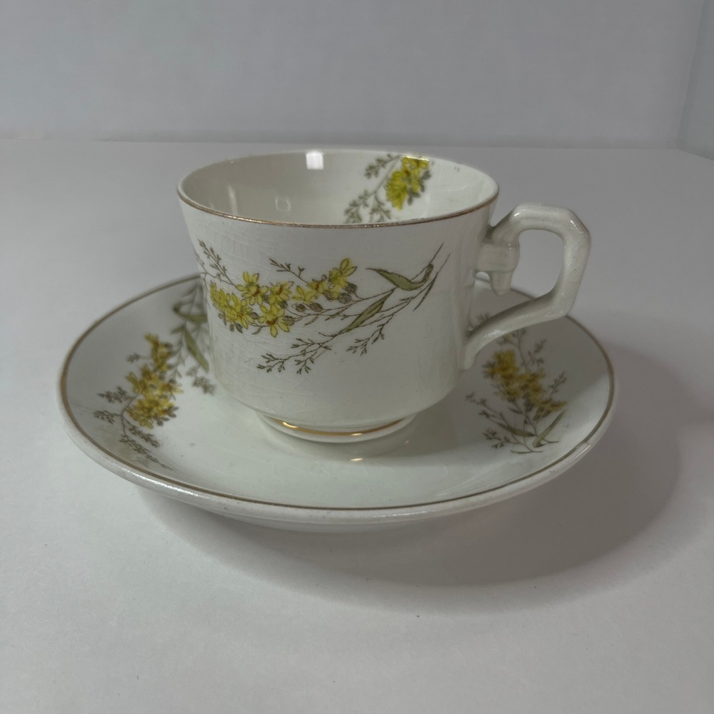 Vintage Yellow Floral Tea Cup and Saucer Set Gold Rim White Ceramic Crazing